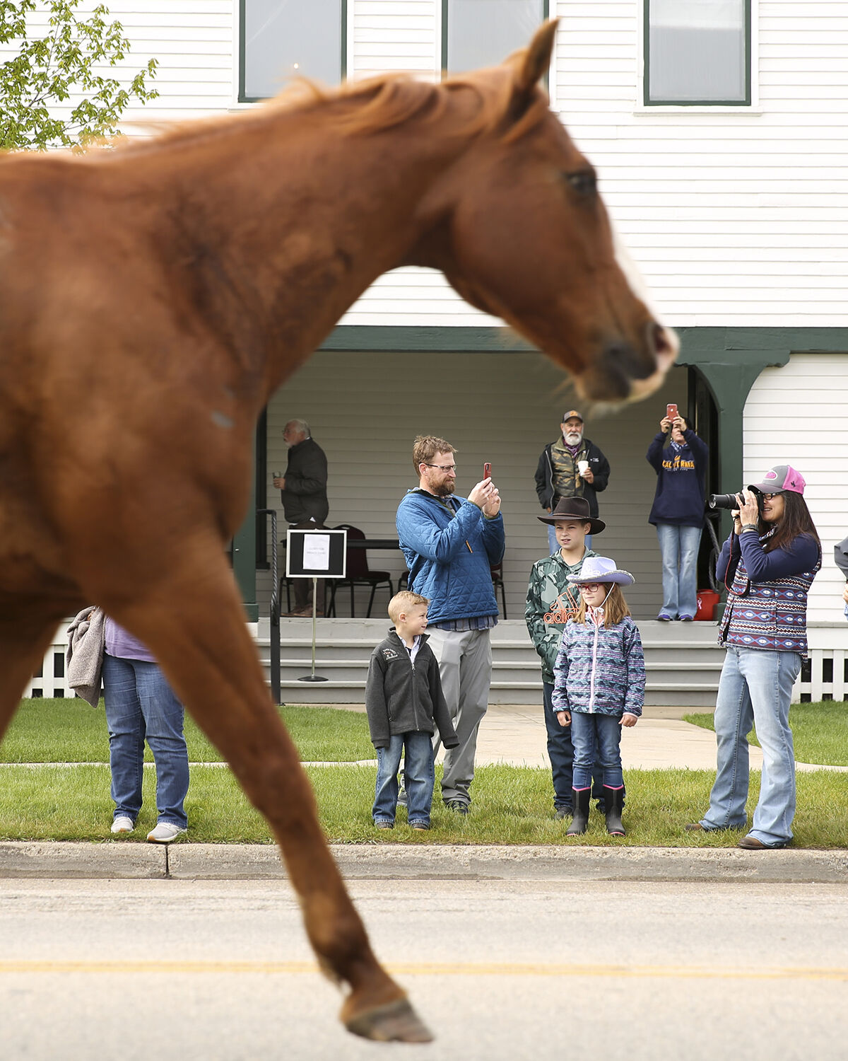 Locals and tourists alike gathered to watch the horse drive